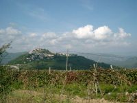 02_Aussicht-auf-Motovun